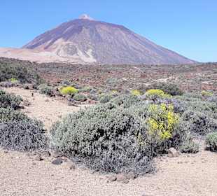 Teide Nationalpark
