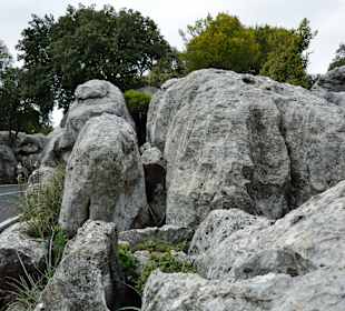 Mit dem Auto nach Cap de Formentor.