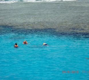 Schnorchel Tour es war wunderschön - empfehlenswert