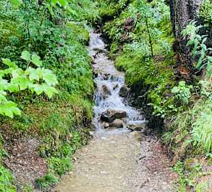 Wandern Bad Hindelang