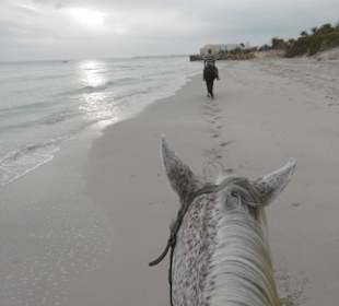 Ausritt Sonnenaufgang