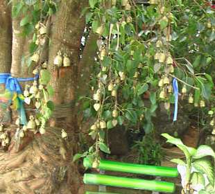 Parkbank am Glöckchenbaum 