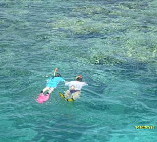 Schnorcheln mit Kind