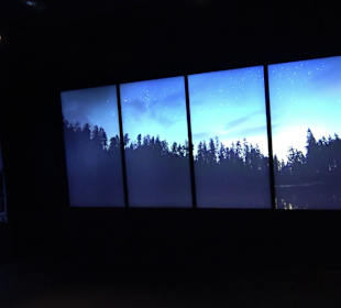 Naturparkzentrum Ruhestein