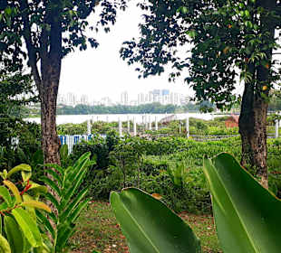 Jurong Lake und Gärten