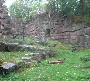 Tierpark 