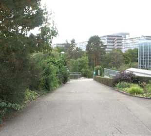 Botanischer Garten