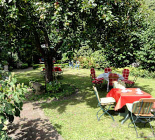 Spaziergang durch den Bauerngarten