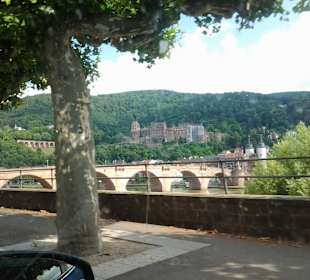 Castillo de Heidelberg, Heidelberg- Alemania