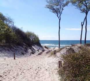 Zugang Weststrand