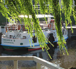 Raddampfer Concordia II im Hafen