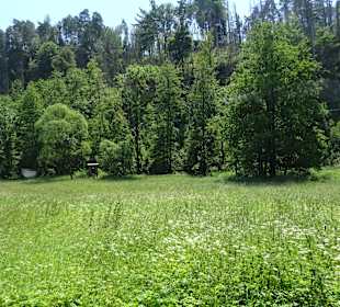 Kirnitzschtalbahn