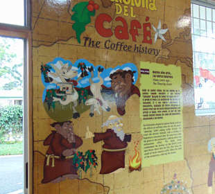 Doka Estate Kaffeeplantage