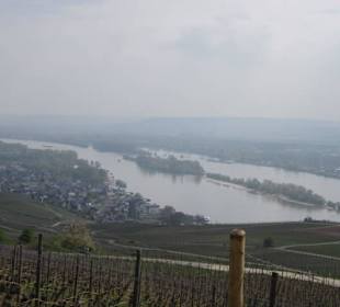 Osteinscher Landschaftspark Weinberge