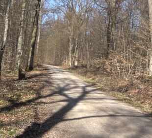 Geschichtlicher Lehrpfad Einsiedel