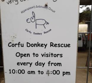 Corfu Donkey Rescue