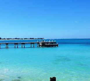 Im Bereich des National Parks