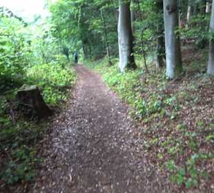 Museum Römer und Bajuwaren