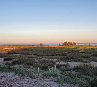 Natur pur vor Ort, das muss man sehen