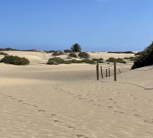 Dünen von Maspalomas