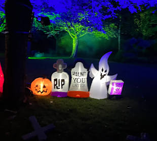 Mondo Verde Halloween