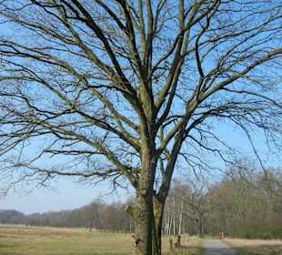 Wunderschöne Boberger Niederung