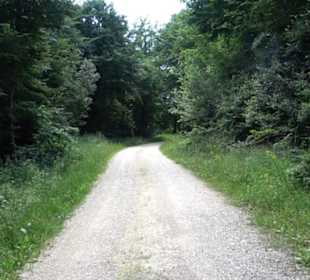 Naturerlebnispfad Sternberg