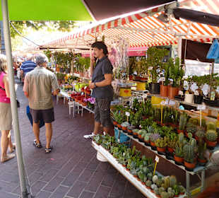 Ein Stand auf dem Markt