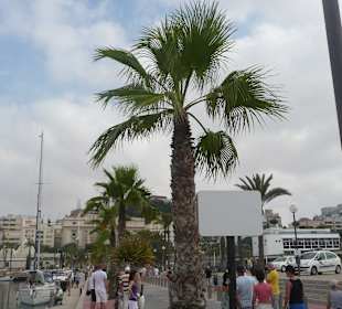 Hafen