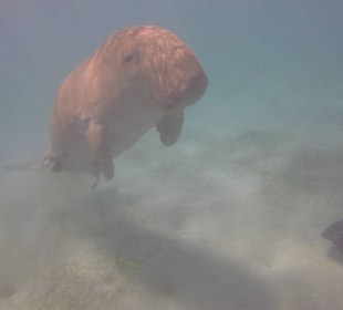 Ausflug mit Coco Trans