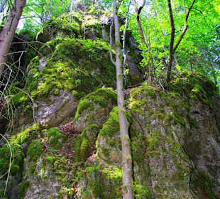 Wanderung zum Bärenfels