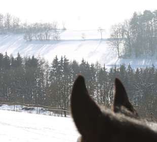 Wandern Igersheim