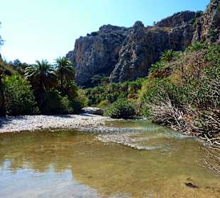 Palmenstrand von Preveli