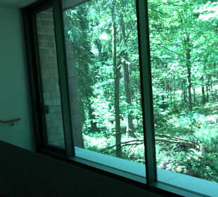 Naturparkzentrum Ruhestein