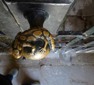 Bergbahn - Aus- und Einblicke vom Schloss