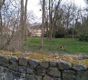 Im Schlosspark