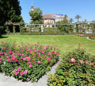Insel Mainau 08/2017