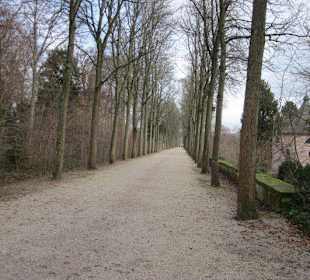 Schlosspark Schwetzingen im Winter