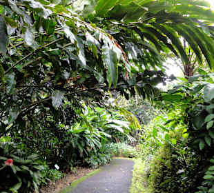 Impressionen aus den Jardins de Valombreuse