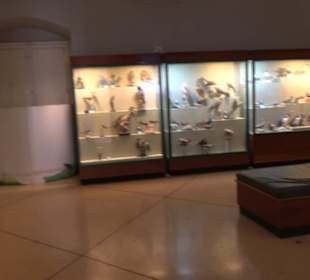 Naturhistorisches Museum