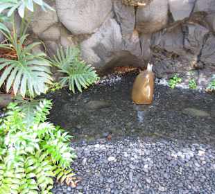 Impression der Fundacion