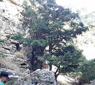 Wanderung durch die Imbros Schlucht