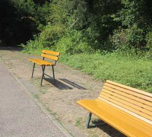 Kurpark Bad Bergzabern