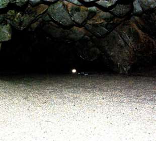 Dim Höhle-Alanya-Kestel & An/Abfahrt