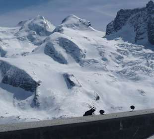 Bergwelt am Gornergrat