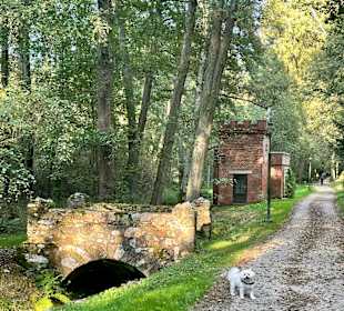 Kurpark Bad Brambach