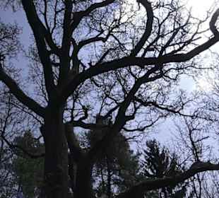 Waldlehrpfad an der Lauter