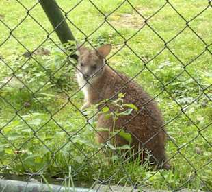 Zoo Olomouc