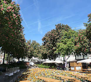 Beim Schillerplatz in Mainz