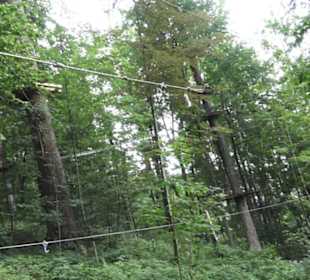 Natur-Hochseilgarten Triberg